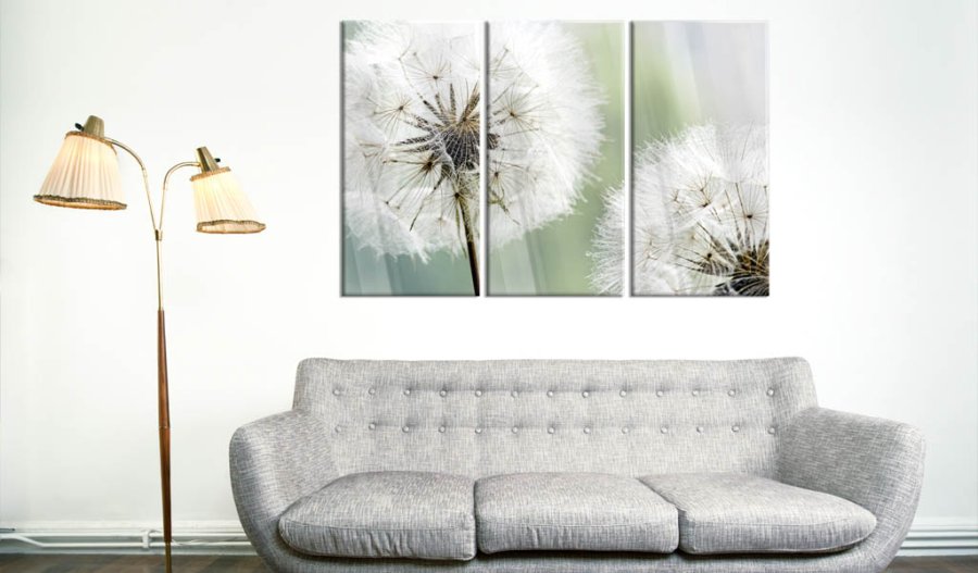 Artgeist billede - Fluffy Dandelions, plexiglas