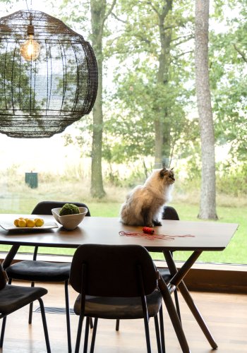 DUTCHBONE Malaya spisebord, rektangulr - valnddefarvet tr (180x90)