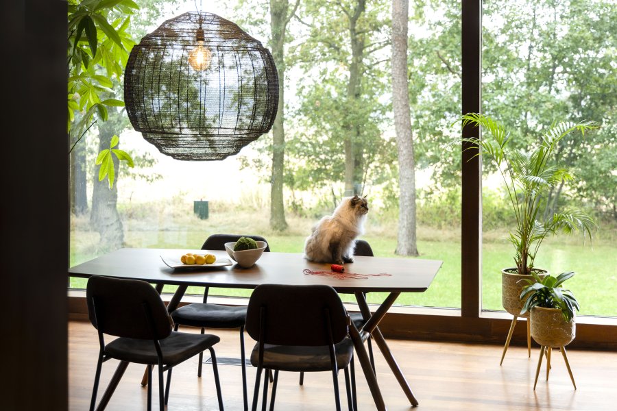 DUTCHBONE Malaya spisebord, rektangulr - valnddefarvet tr (180x90)