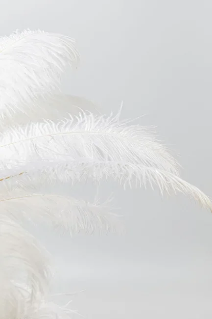 KARE DESIGN Feather Palm bordlampe - hvid strudsefjer og messing stl