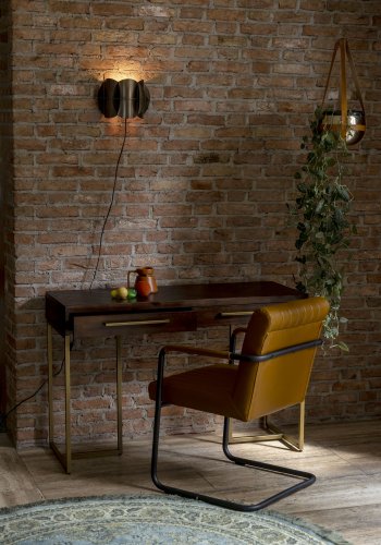 DUTCHBONE Klasse konsolbord, m. 2 skuffer - brun tr og guld stl (120x45)