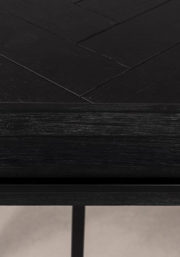 DUTCHBONE Klasse konsolbord, m. 2 skuffer - sort tr og sort stl (120x45)