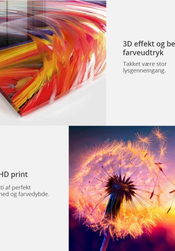 Artgeist billede - The Magic of Passion, p plexiglas, to strrelser