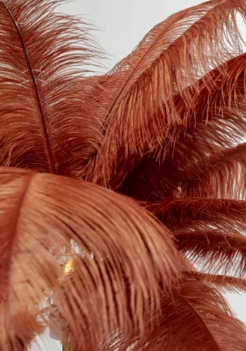 KARE DESIGN Feather Palm gulvlampe - rustrd strudsefjer og messing stl