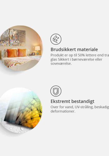 Artgeist billede - Fluffy Dandelions, plexiglas