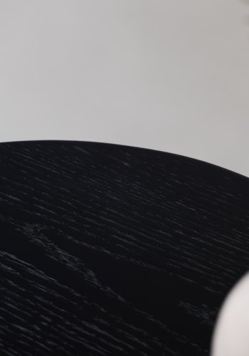 VIND COLLECTION Fjällbacka TV-bord, m. 2 lger og hylder - sort egefinér/MDF (160x48)