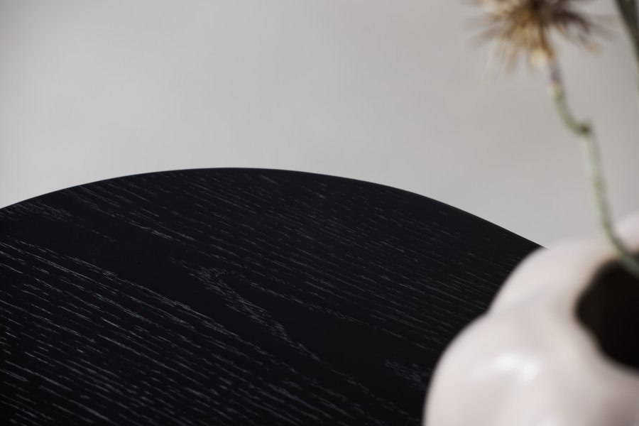 VIND COLLECTION Fjällbacka TV-bord, m. 2 lger og hylder - sort egefinér/MDF (160x48)