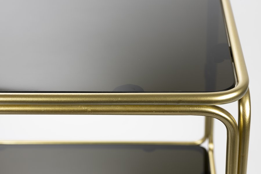 WHITE LABEL LIVING Liah Gold reol, m. 3 hylder - rgfarvet gr glas og guld jern