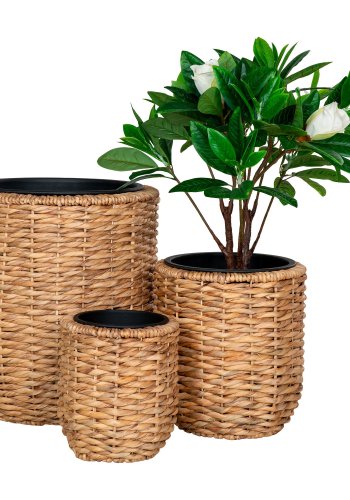 HOUSE NORDIC Planteskjuler, vandhyacinth, rund, natur, st af 3