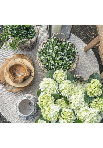 HOUSE NORDIC  Kuta Kurve - Kurve, kubu rattan, natur<br>st af 3