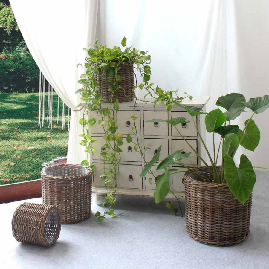 HOUSE NORDIC Bogor kurve - natur kubu, rund (st/4 stk.)