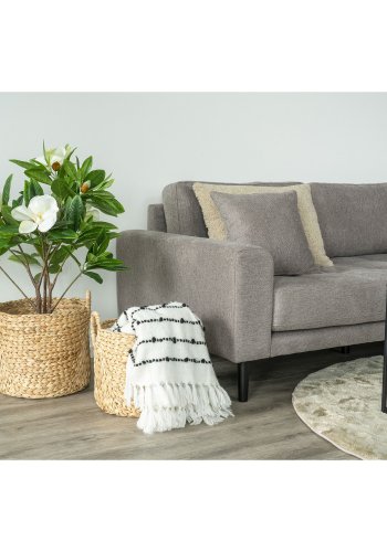 HOUSE NORDIC  Passo kurve - Kurve, vandhyacint, natur, st af 2