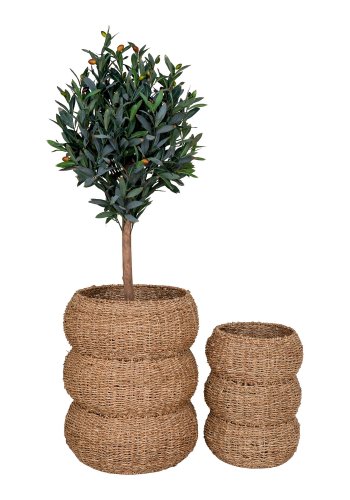 HOUSE NORDIC  Sarbas Kurve - Kurve, sgrs, natur, st af 2