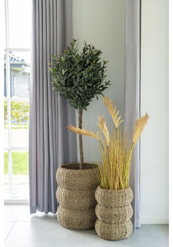 HOUSE NORDIC  Sarbas Kurve - Kurve, sgrs, natur, st af 2