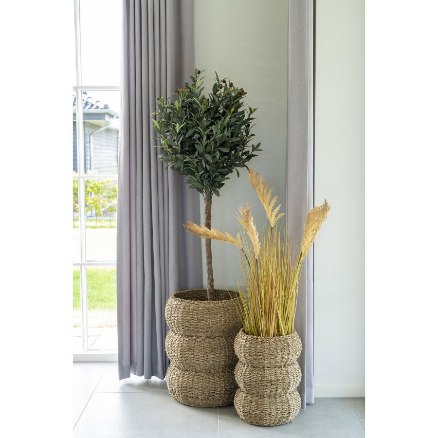 HOUSE NORDIC  Sarbas Kurve - Kurve, sgrs, natur, st af 2