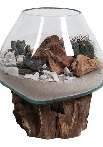 HOUSE NORDIC San Marino Vanddrbe skulptur - glas/natur tr (H:20)