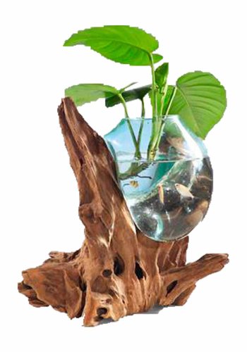 HOUSE NORDIC San Marino Vanddrbe skulptur - glas/natur teaktr/stl (H:50cm)