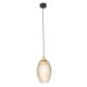TK Sebo loftlampe - glas og sort metal