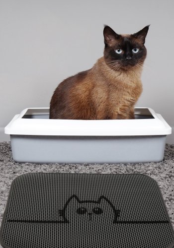 TEPPI Cat kattebakkemtte, rektangulr - multifarvet PVC og polyester (45x60)