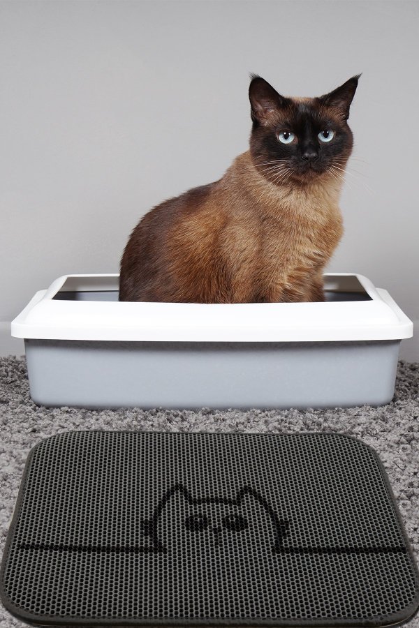 TEPPI Cat kattebakkemtte, rektangulr - multifarvet PVC og polyester (45x60)