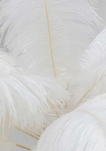 KARE DESIGN Feather Palm gulvlampe - hvid strudsefjer og messing stl