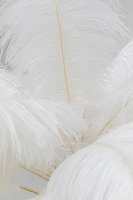 KARE DESIGN Feather Palm gulvlampe - hvid strudsefjer og messing stl