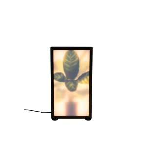 ZUIVER Grow M gulvlampe - glas og sort tr