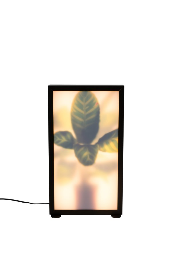 ZUIVER Grow M gulvlampe - glas og sort tr