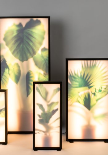 ZUIVER Grow M gulvlampe - glas og sort tr