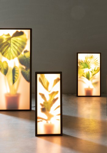 ZUIVER Grow M gulvlampe - glas og sort tr