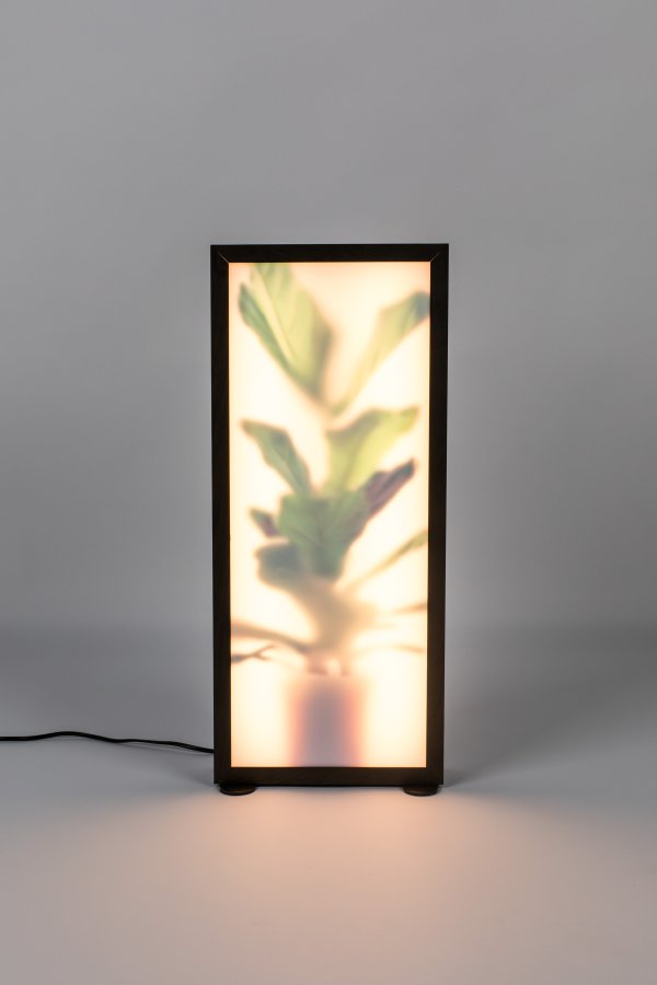 ZUIVER Grow L gulvlampe - glas og sort tr
