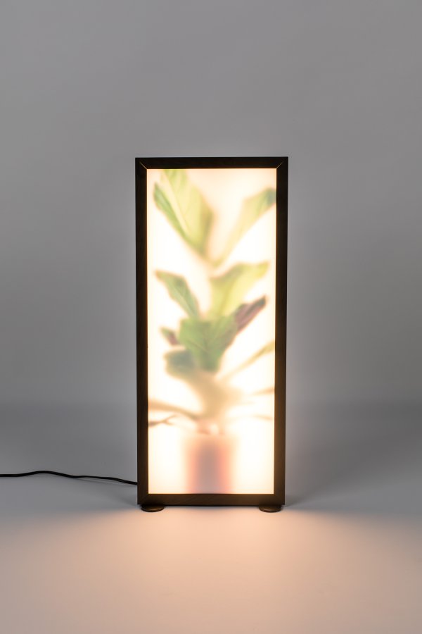 ZUIVER Grow L gulvlampe - glas og sort tr
