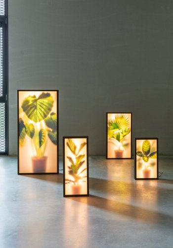 ZUIVER Grow L gulvlampe - glas og sort tr