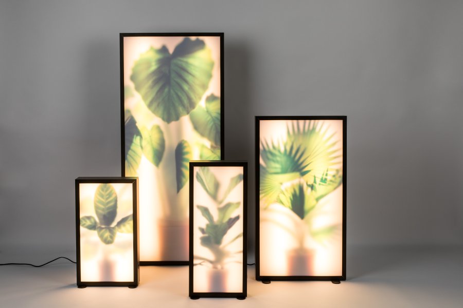 ZUIVER Grow XL gulvlampe - glas og sort tr