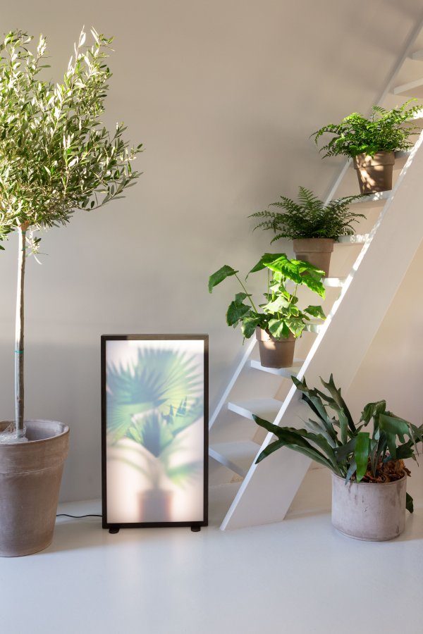 ZUIVER Grow XL gulvlampe - glas og sort tr