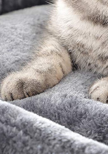 FEANDREA kradsetr, 5 niveauer, 2 platforme, 2 huler, 2 pomponer, 1 kurv - rggr plys