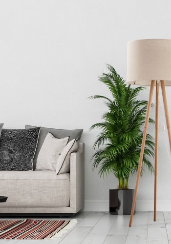 TK Tokyo gulvlampe - natur hr og natur fyrretr