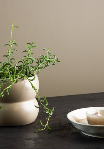 VENTURE DESIGN Dapne potte, rund - mat beige stentj (16x16x13)