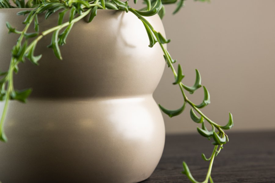 VENTURE DESIGN Dapne potte, rund - mat beige stentj (16x16x13)