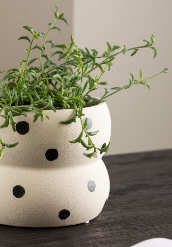 VENTURE DESIGN Dapne potte, rund - hvid/sorte prikker stentj (16x16x13)