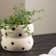 VENTURE DESIGN Dapne potte, rund - hvid/sorte prikker stentj (16x16x13)