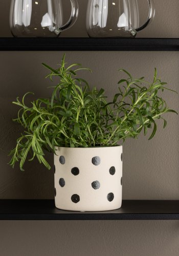 VENTURE DESIGN Sane potte, rund - hvid/sorte prikker stentj (11x11x10)