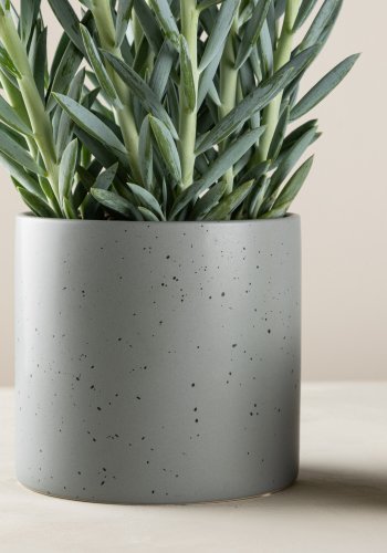 VENTURE DESIGN Sane potte, rund - mrkegr/sorte prikker stentj (18x18x17)