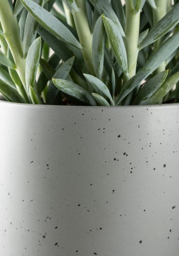 VENTURE DESIGN Sane potte, rund - mrkegr/sorte prikker stentj (18x18x17)