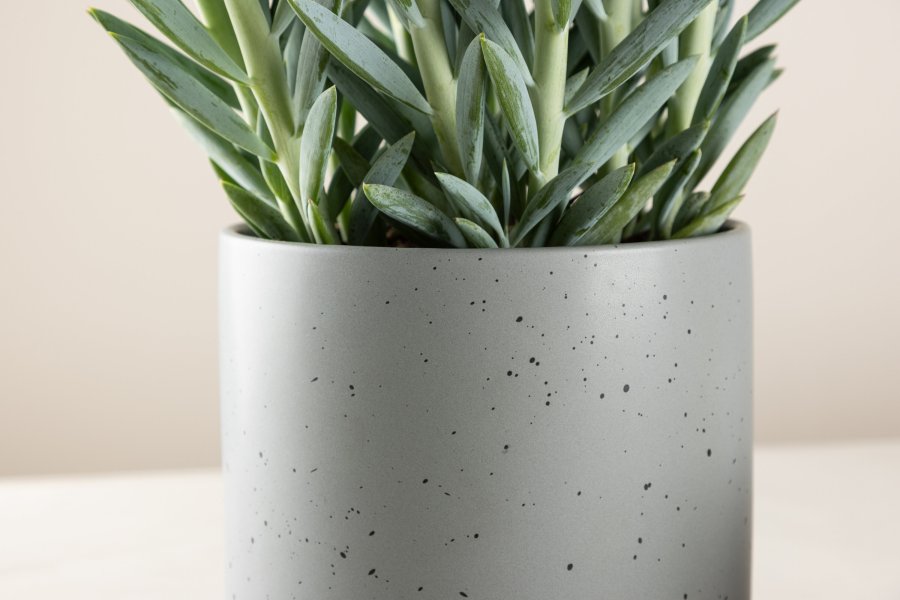 VENTURE DESIGN Sane potte, rund - mrkegr/sorte prikker stentj (18x18x17)