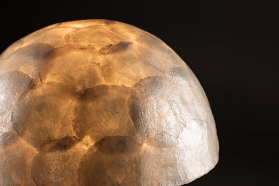 VIND COLLECTION Lindön bordlampe - lysegr capiz