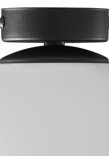 TK Celeste loftlampe - hvid glas og sort stl