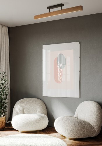 TK Teo LED loftlampe - valnddefarvet tr og sort metal