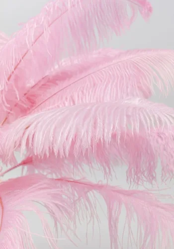 KARE DESIGN Feather Palm bordlampe - lyserd strudsefjer og messing stl