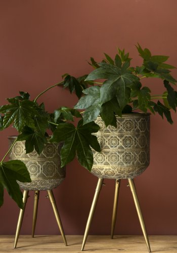 DUTCHBONE Botanisk urtepotteskjuler L - messing jern